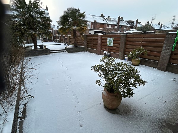 Rukkerweg 269007.JPG